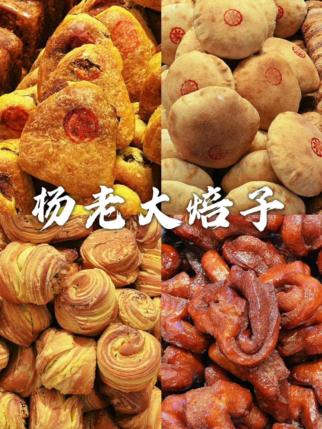 大龄特种兵：呼和浩特两日游必去16个景点🎪