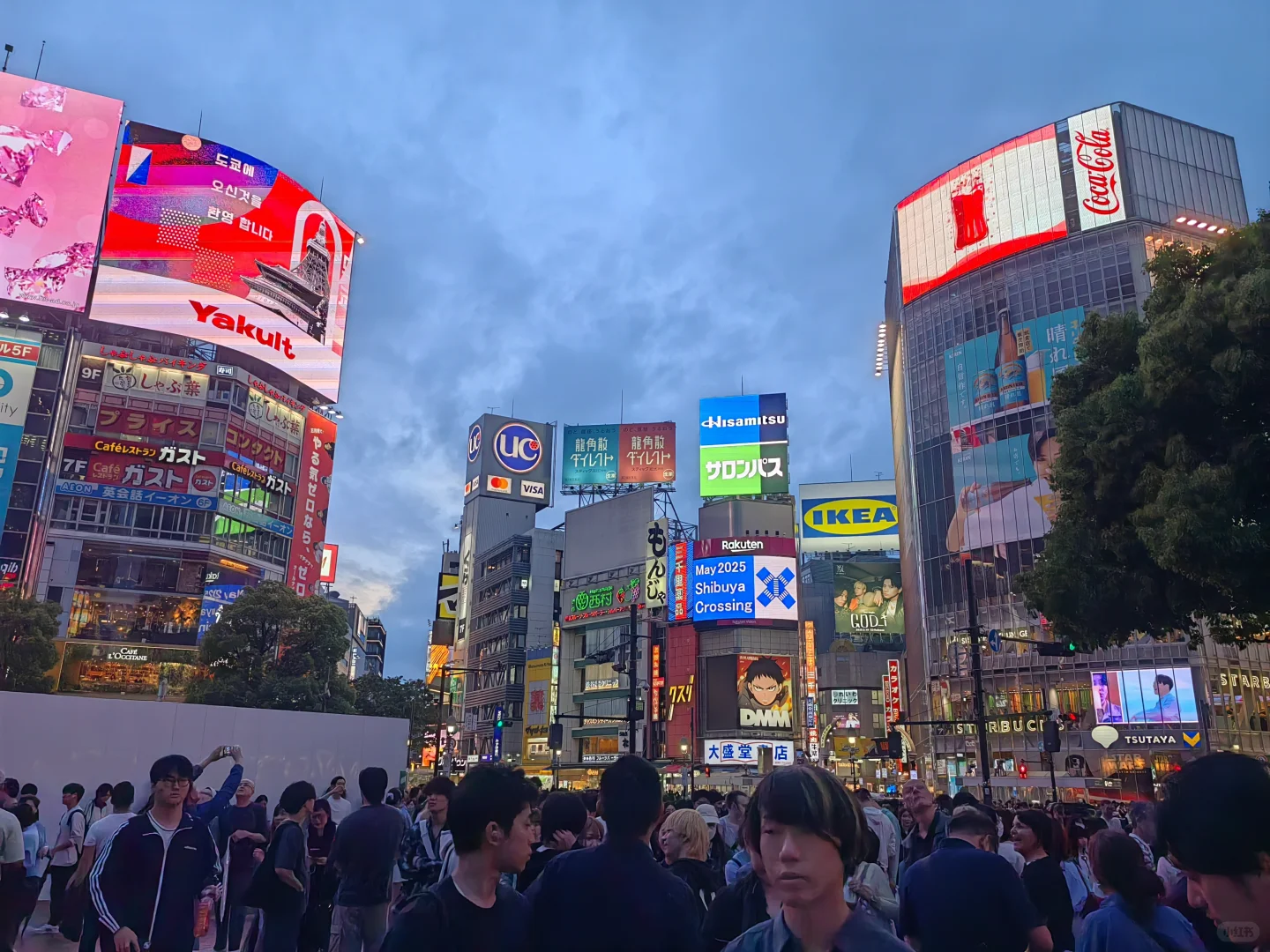 涉谷路口