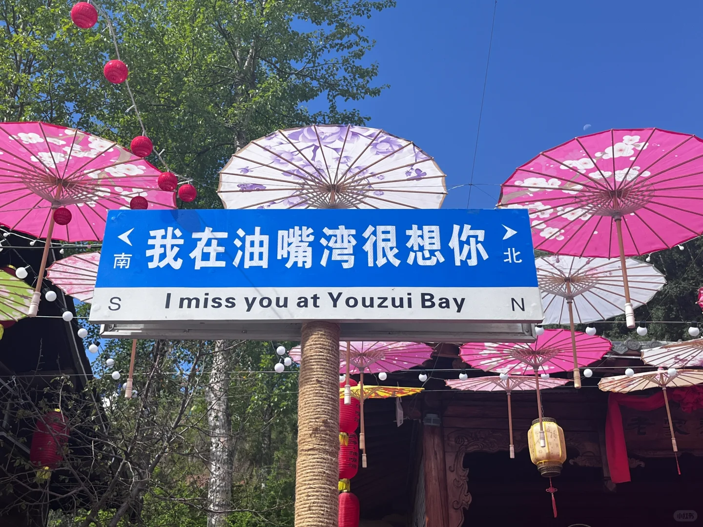 第 8 集｜一定要去的花海，油嘴湾花海