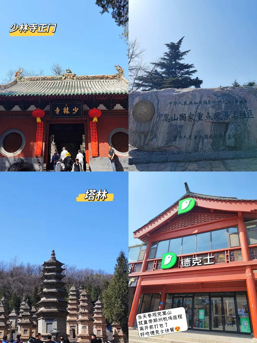 🇨🇳河南|赶快带长辈来旅游吧