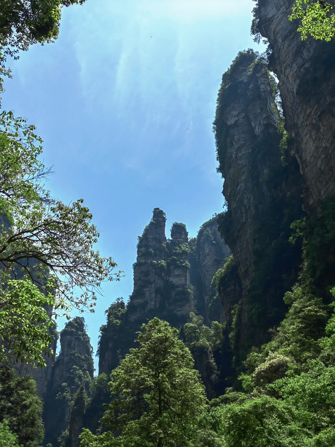【Day6】湖南•张家界