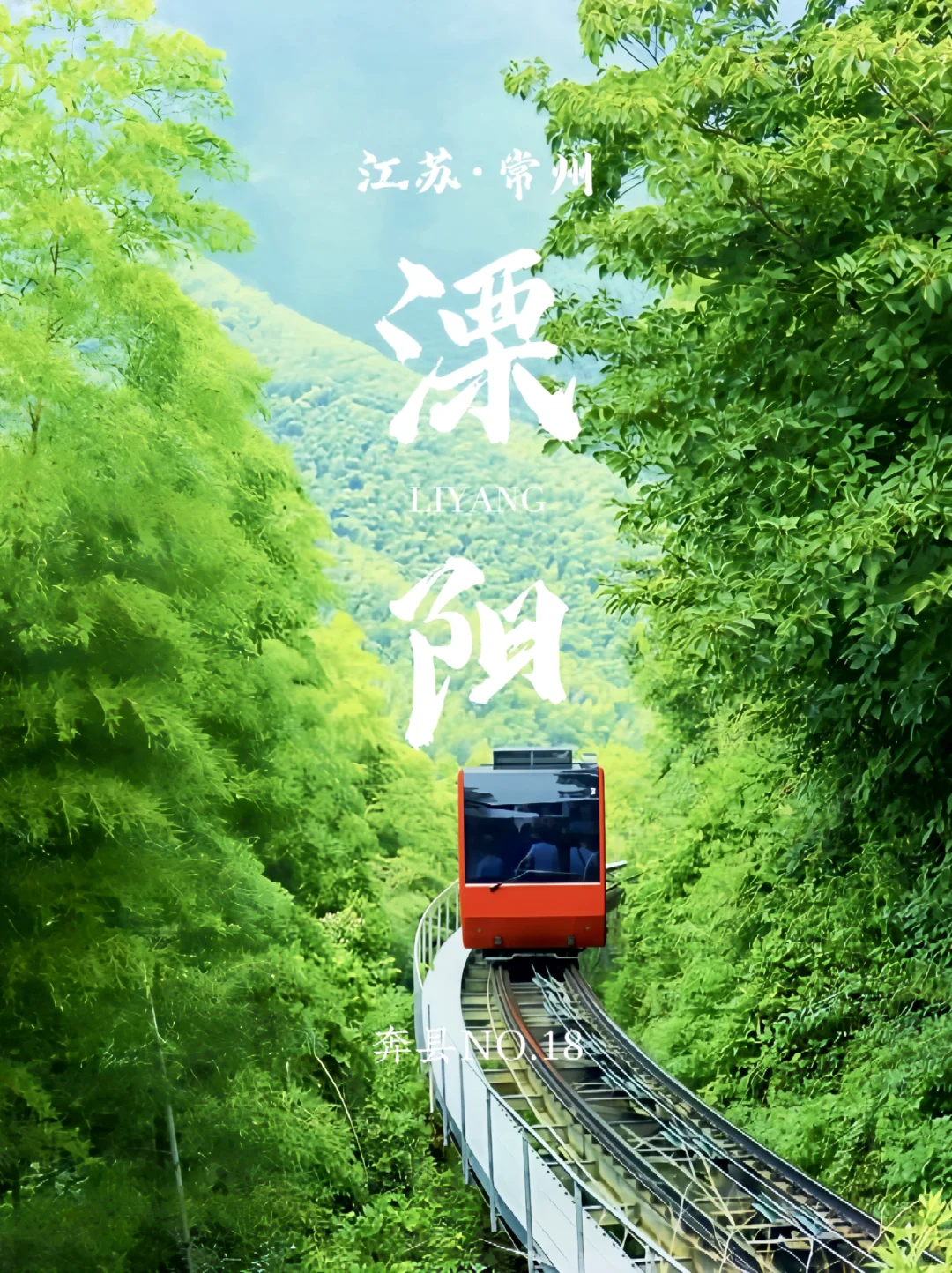 奔县第18站｜森林小火车太出片了🚂