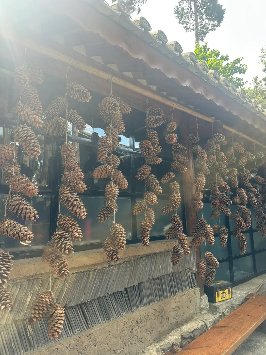 苍山徒步攻略（景区版）大理|云南徒步