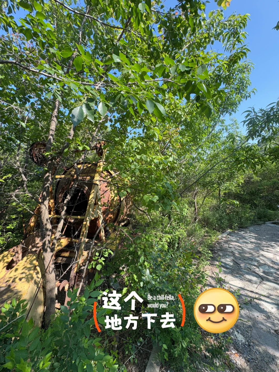 定都阁景区的确没开门