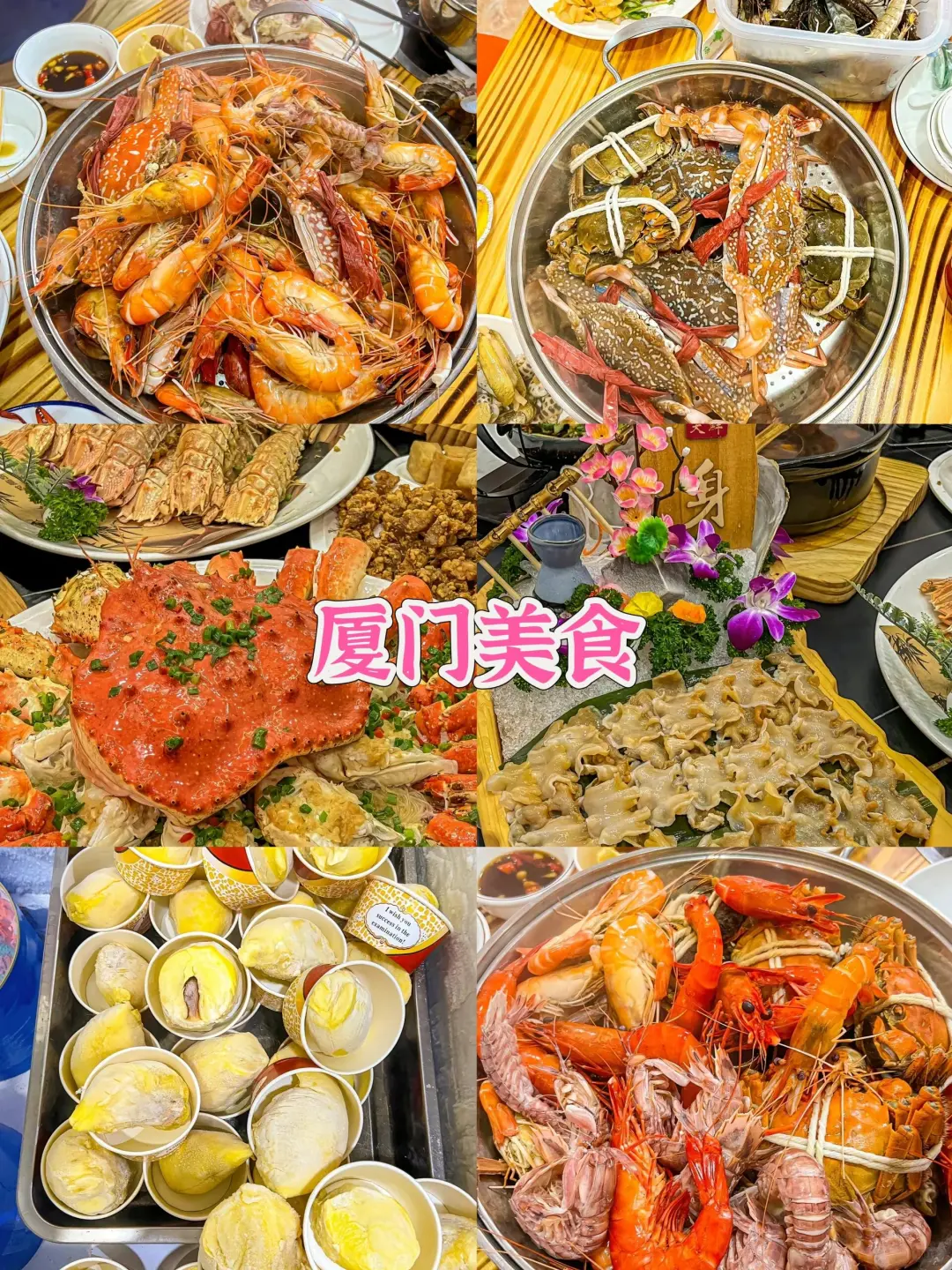 如何用800在厦门玩4天✨本地土著的游玩攻略