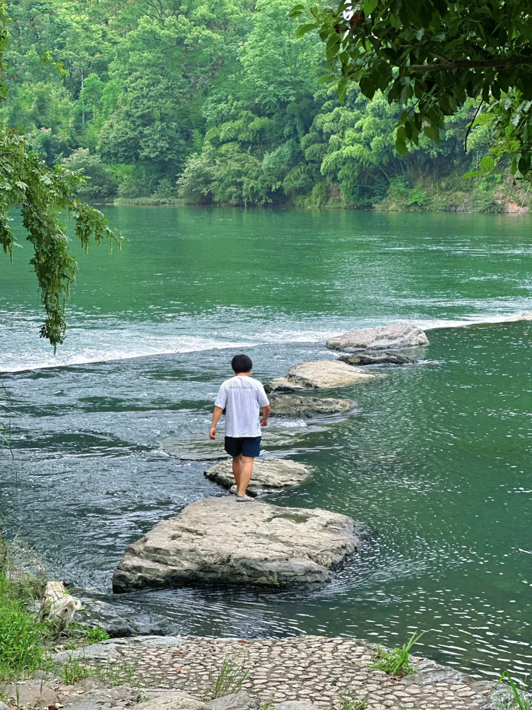 浙江最低调宝藏县城开化：3天2晚游玩攻略