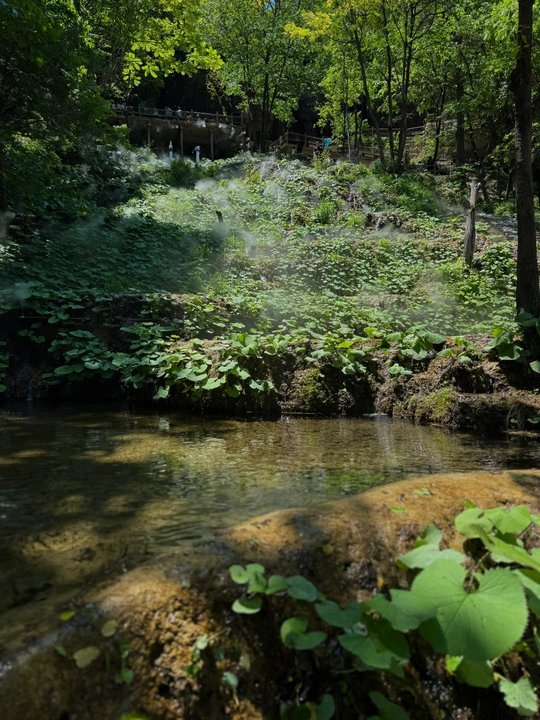 下一站洛阳