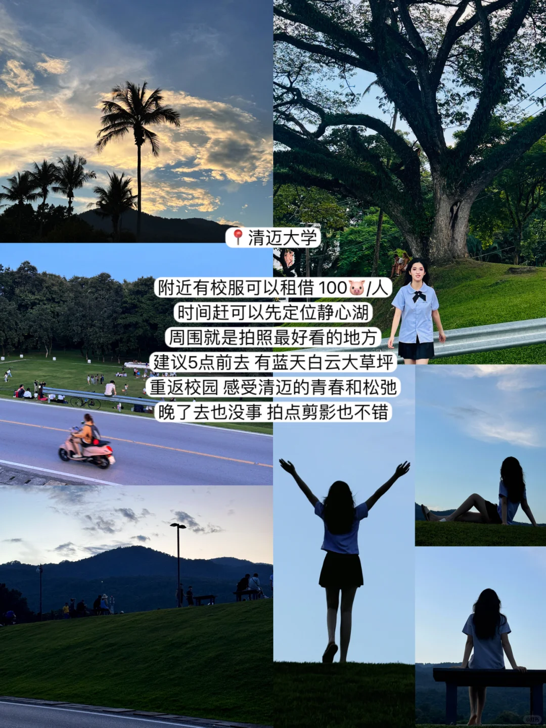 最新清迈五天四夜！P人旅游攻略（含费用）