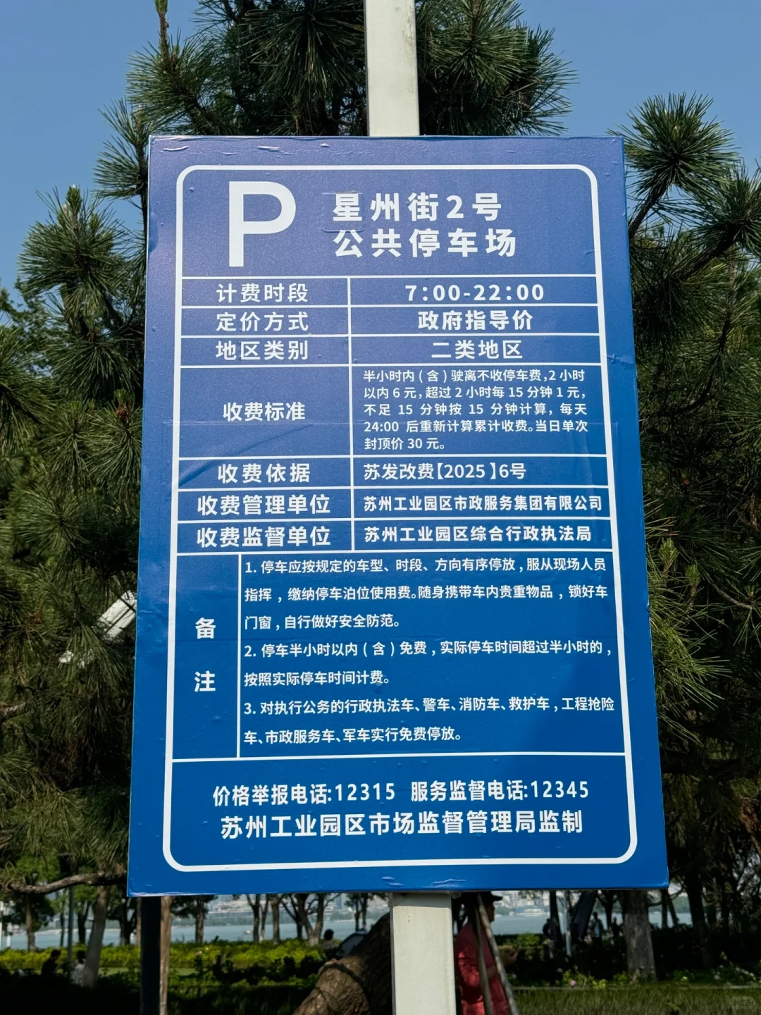 苏州｜金鸡湖绣球，掉进了调色盘般的初夏🌸