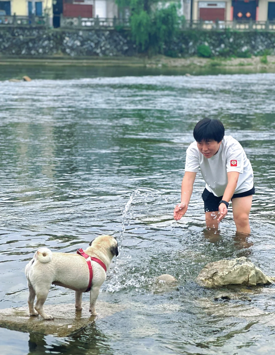 浙江最低调宝藏县城开化：3天2晚游玩攻略