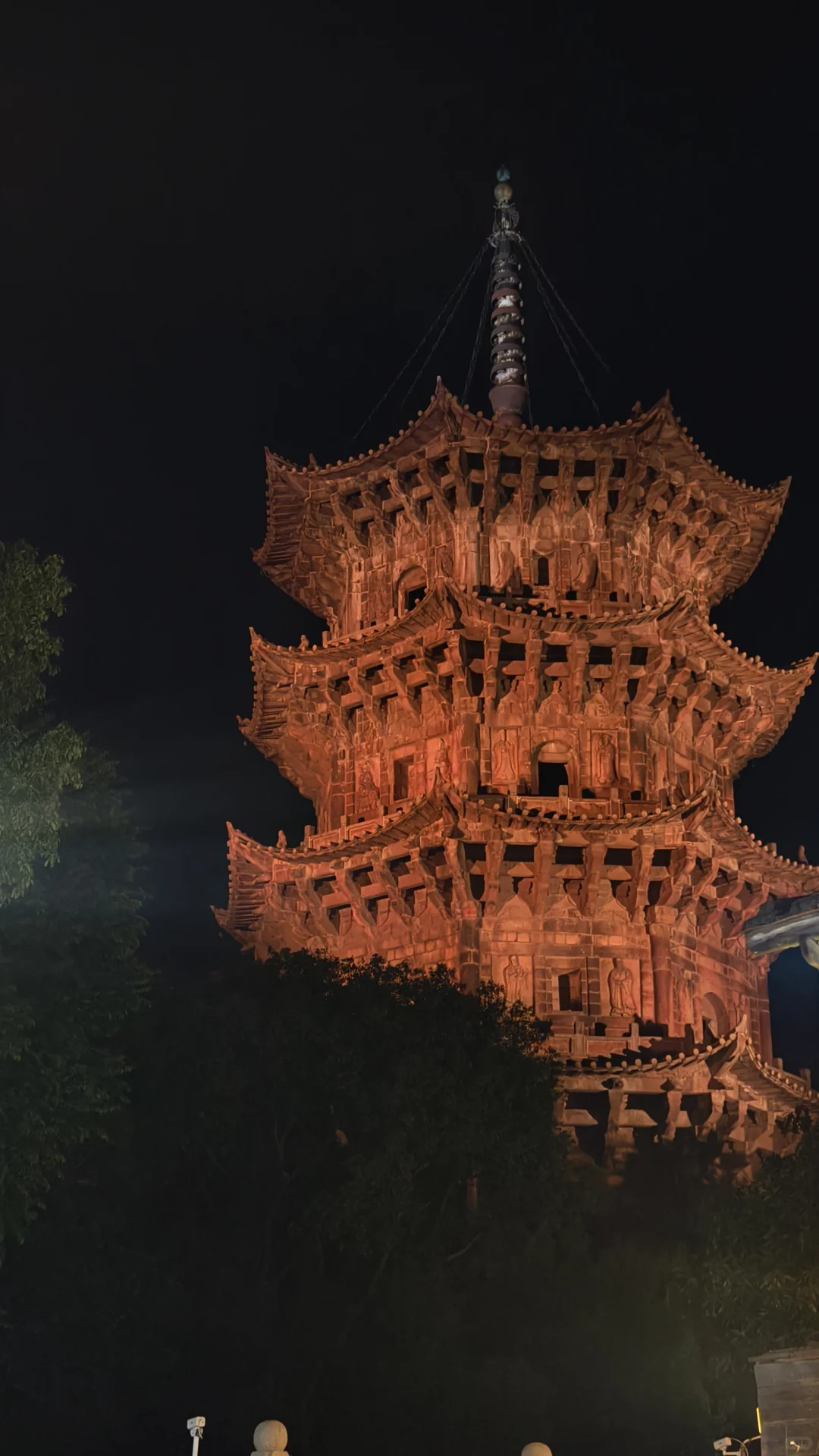 泉州开元寺的花开啦