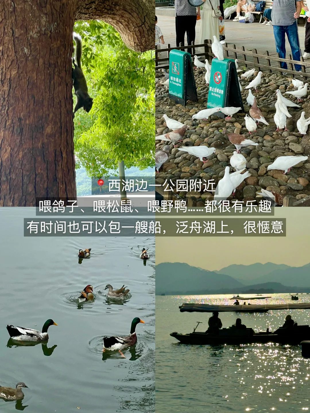 杭州旅游：（3天2晚）Citywalk版…………