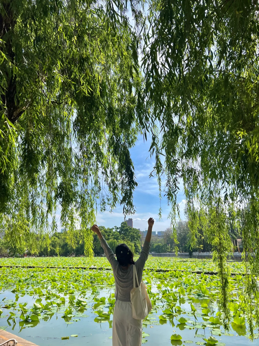 昆明一日游｜详细攻略只看这篇！（附爆款机位）