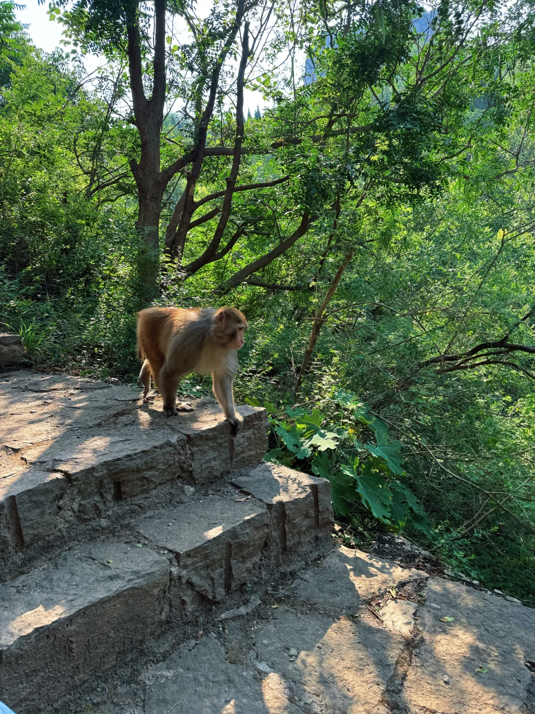 青龙山慈云寺