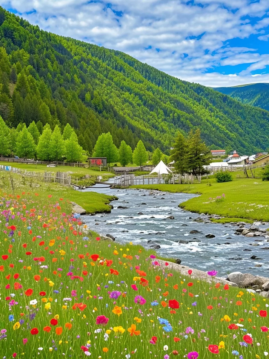 不在瑞士...5-8月的川西🏔️！！💐美到失语….