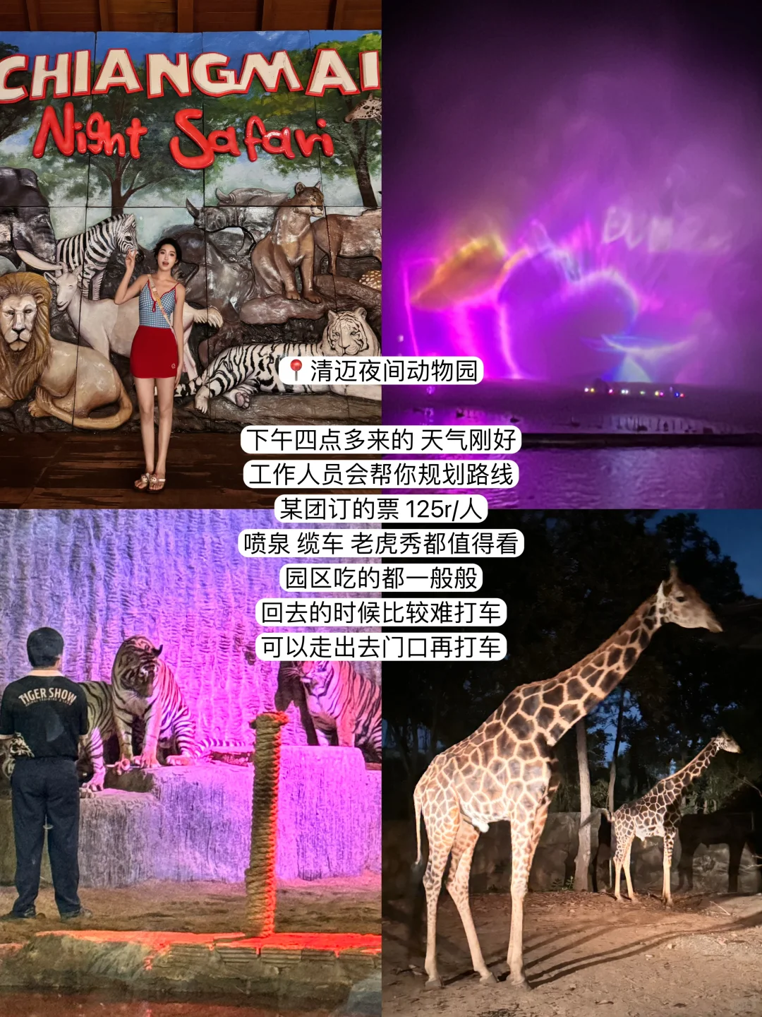 最新清迈五天四夜！P人旅游攻略（含费用）