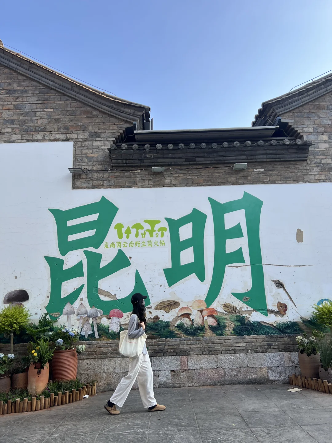 昆明一日游｜详细攻略只看这篇！（附爆款机位）