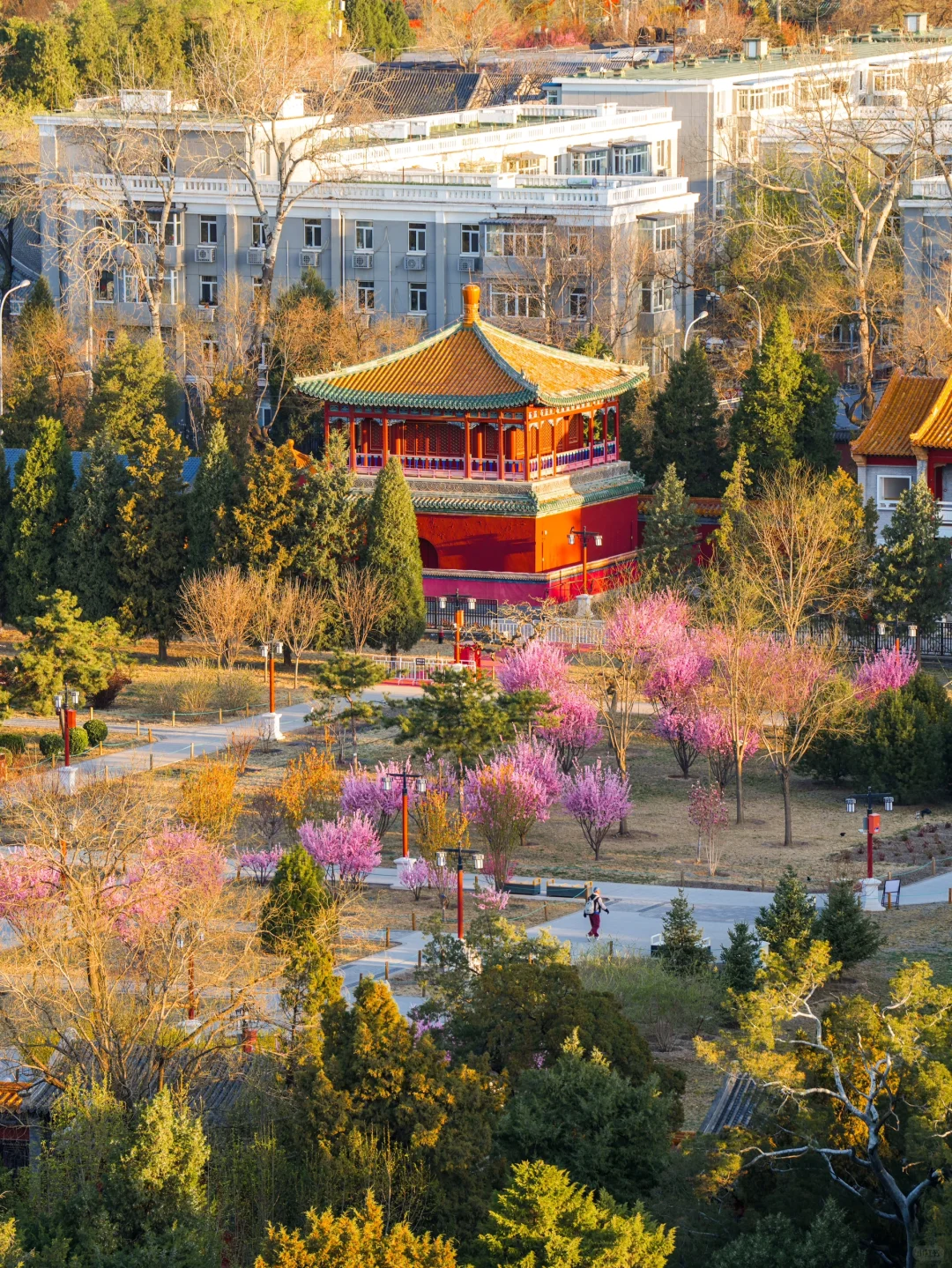 这可能是我在北京，花的最值的两元钱…