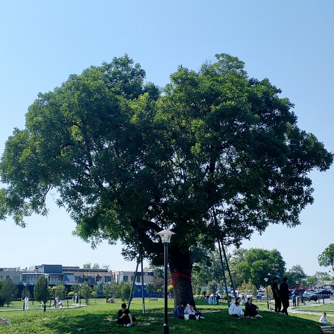 📍石家庄‖正定古城