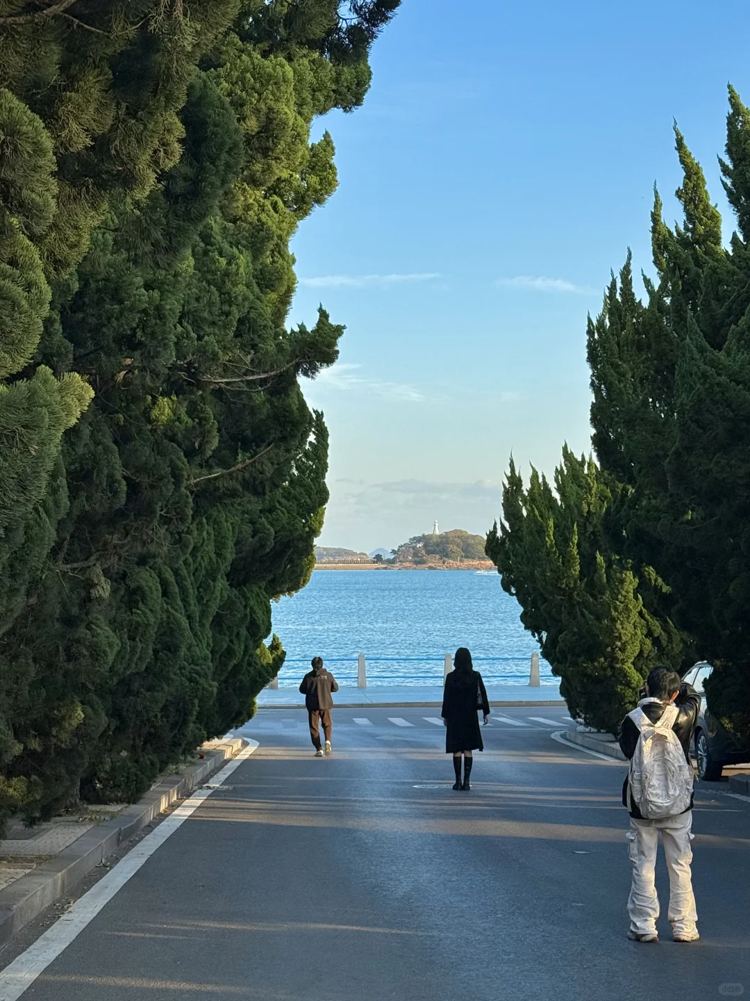 我的生命就应该浪费在青岛。。。（附路线）
