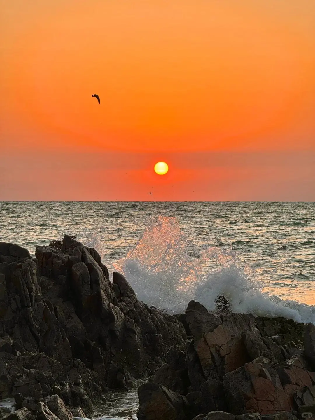 海风轻拂，啤酒飘香，这是属于青岛的夏日记