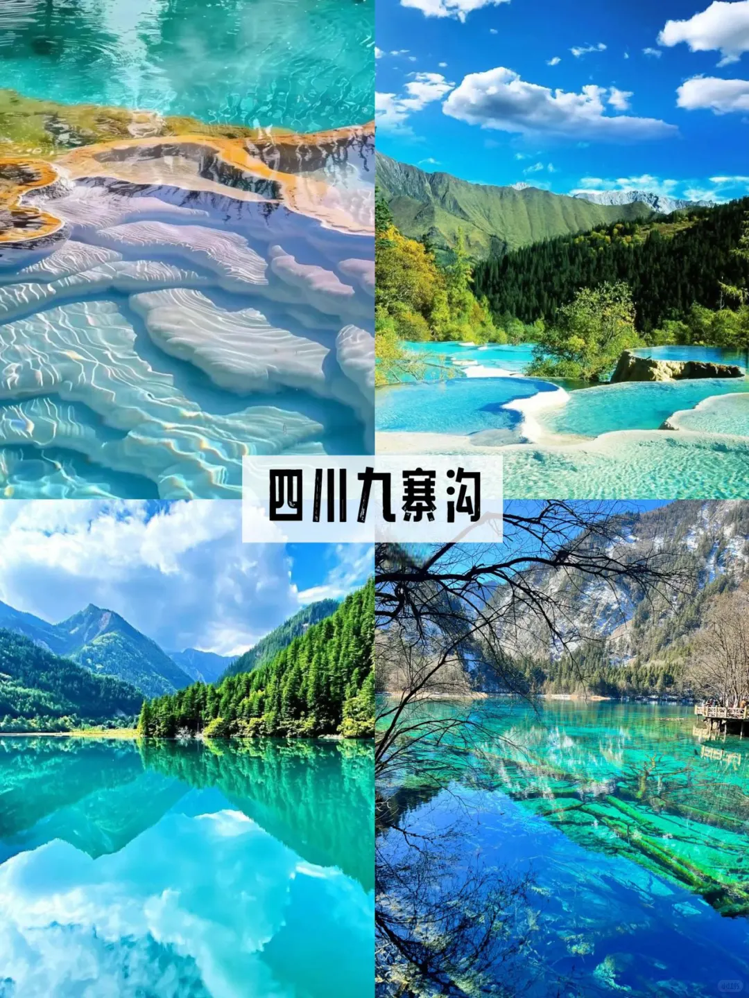 7️⃣月避暑天花板！国内9️⃣个20℃神仙地