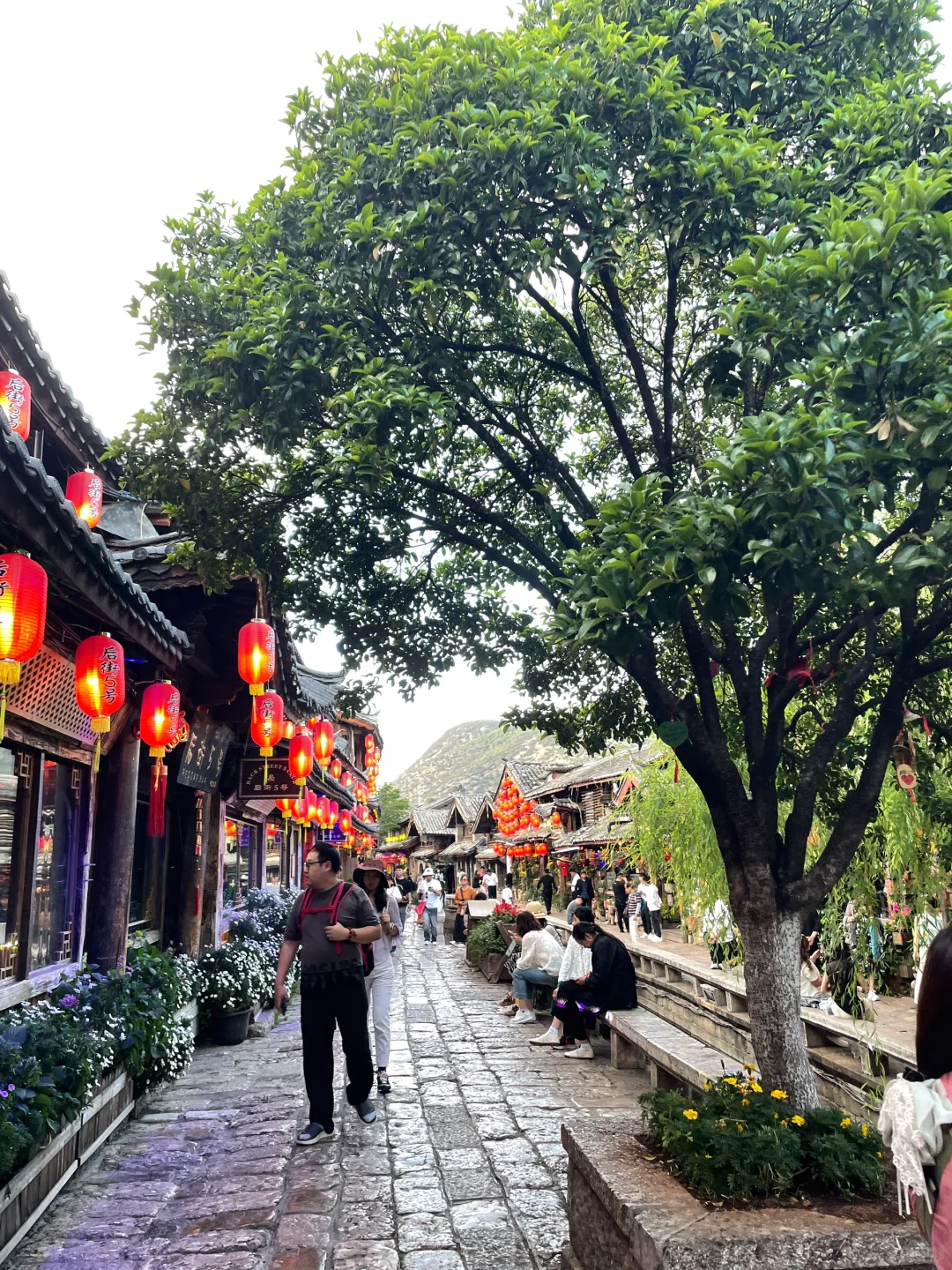 丽江旅游碎片
