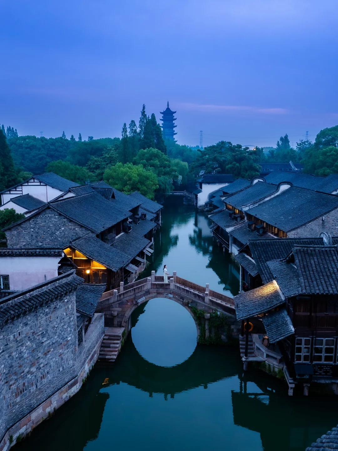 迄今为止，乌镇最惬意的旅游方式出现了🍀