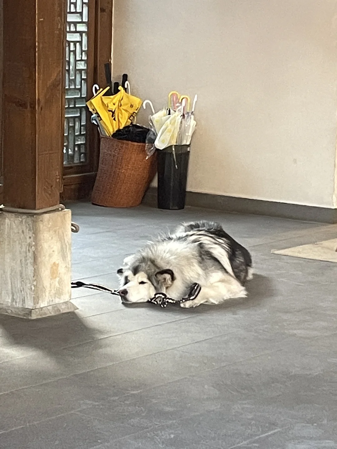 丽江旅游碎片