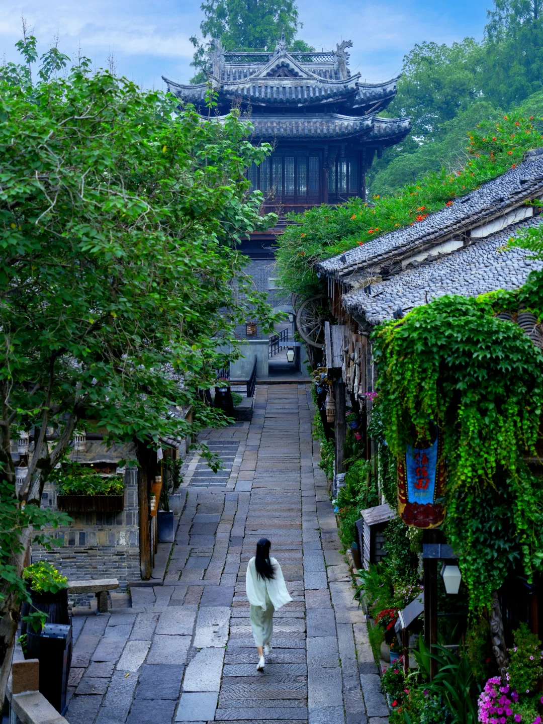 迄今为止，乌镇最惬意的旅游方式出现了🍀
