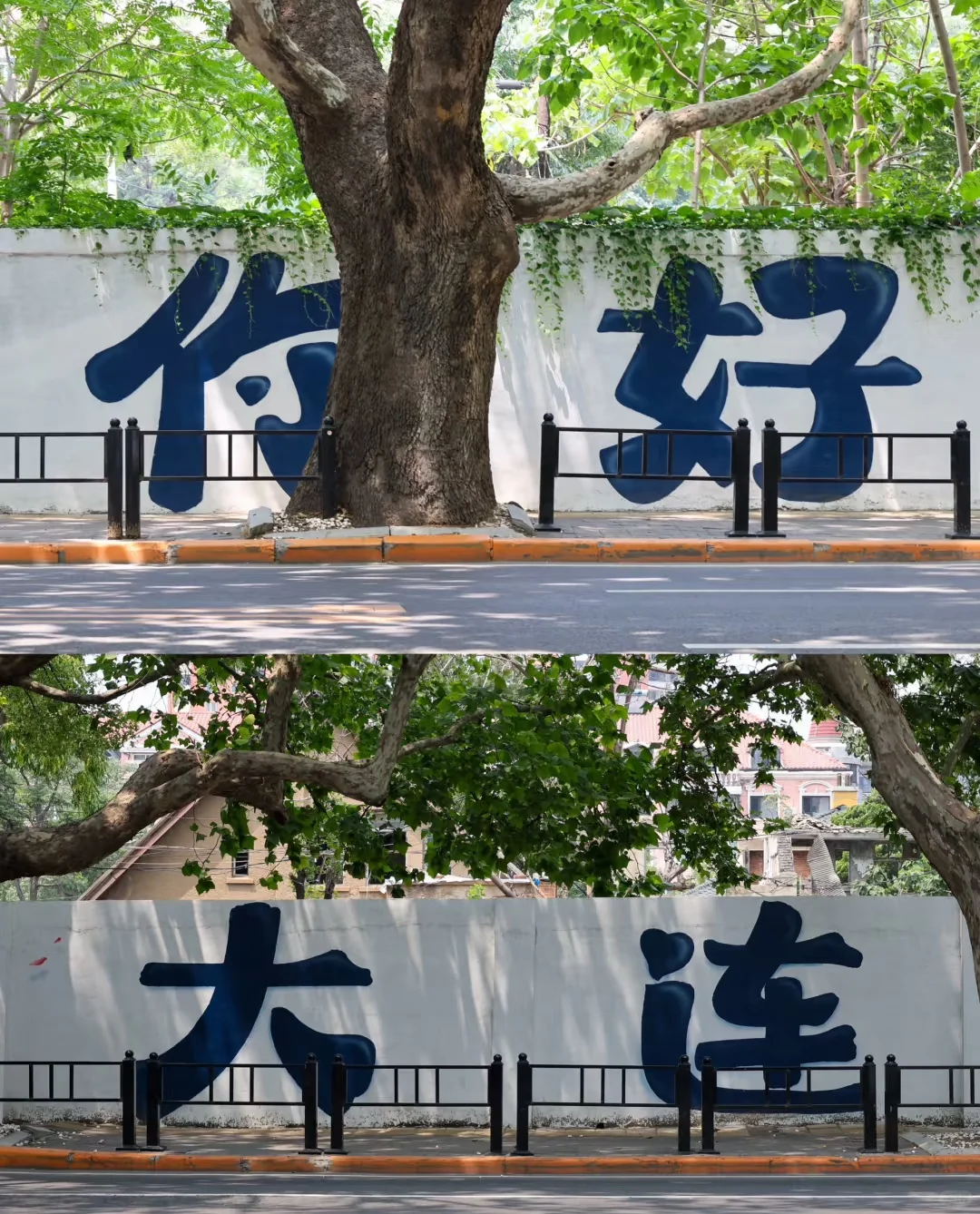 五一，大连游