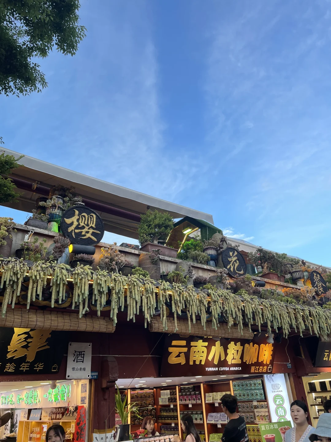 丽江旅游碎片