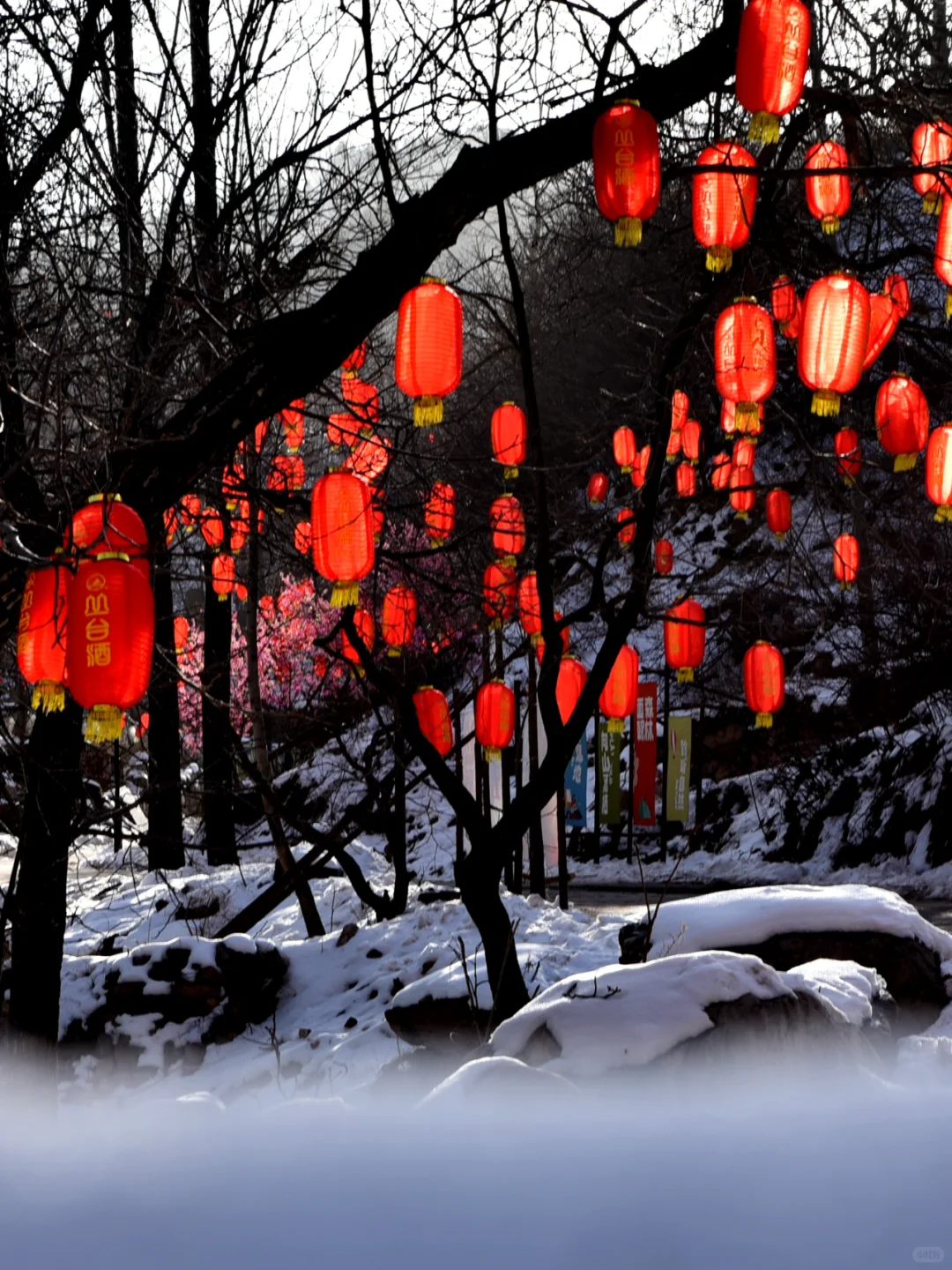 美成油画！千万不要错过雪后的七步沟