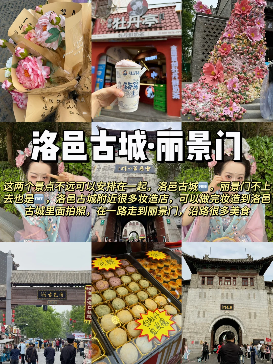 《洛阳两天一晚》打工人周末特种兵超详细攻！