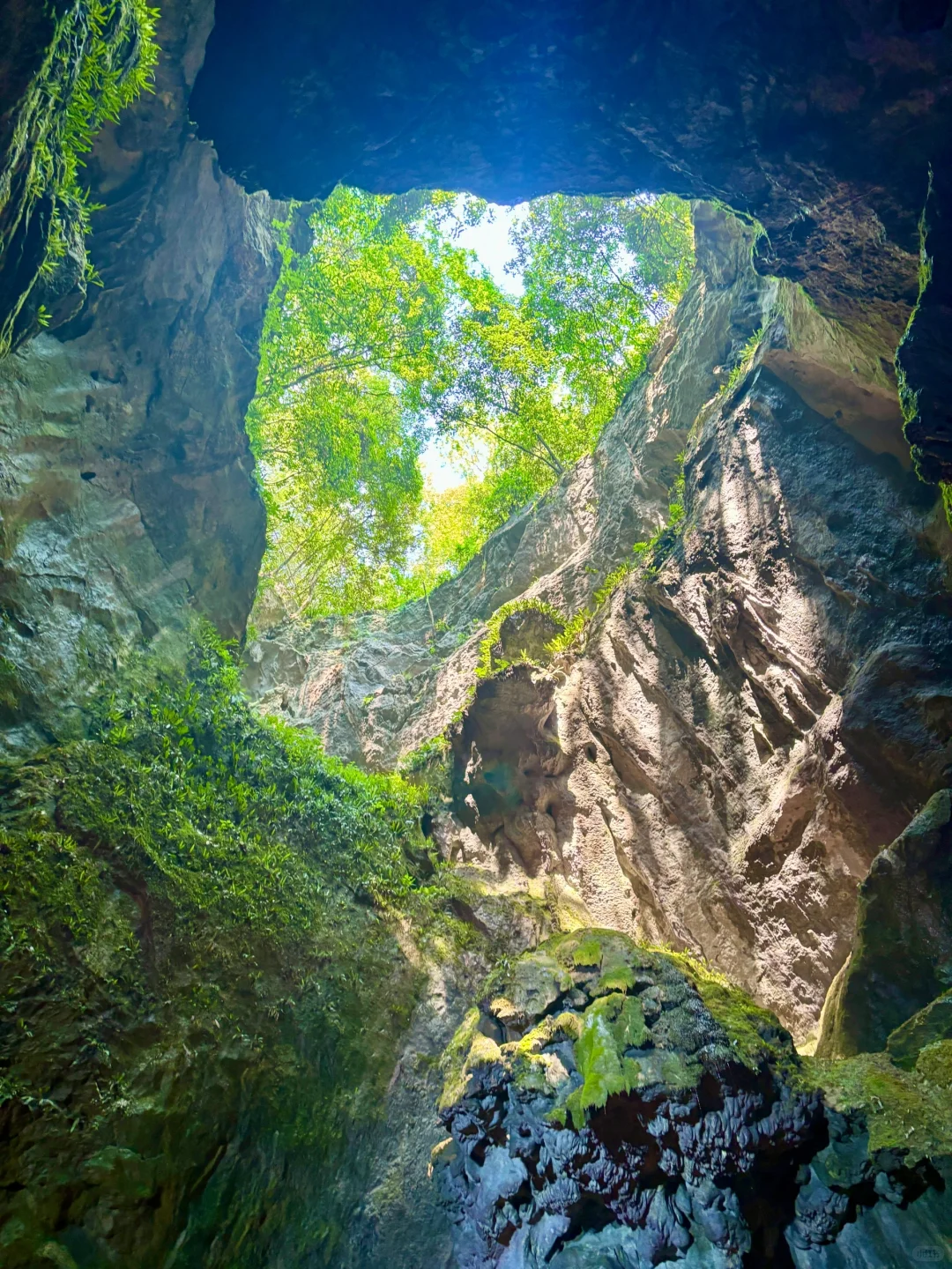💯%出片宝藏森林秘境，避暑圣地🌴🌟🌟仙桥洞
