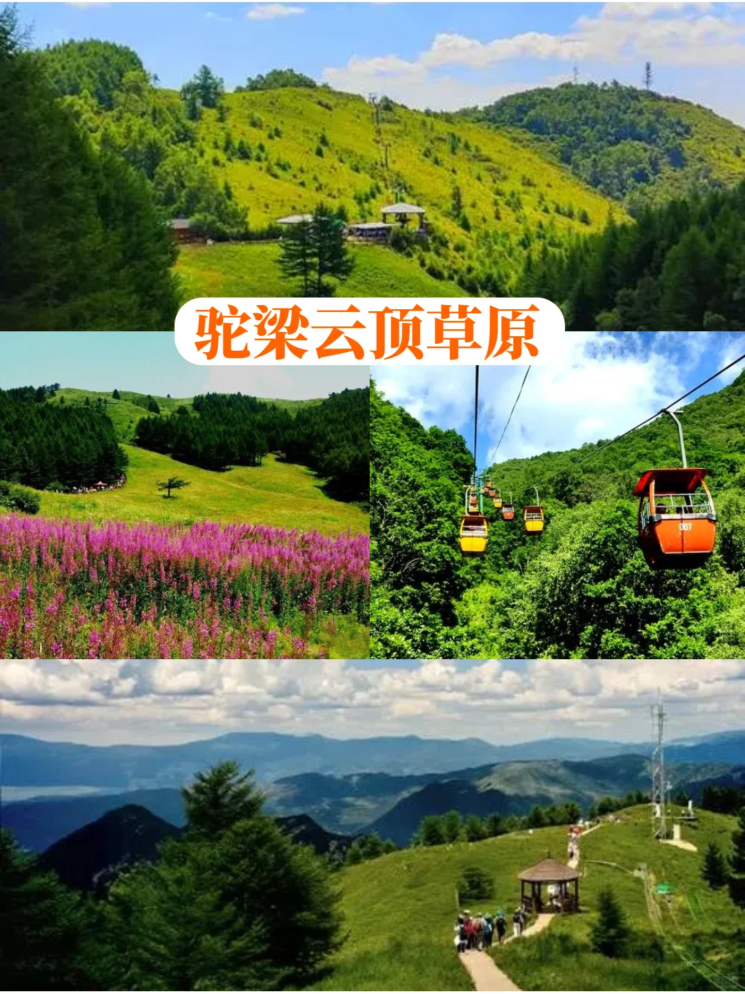 谁说草原只能骑马90%的人不知道的隐藏玩法
