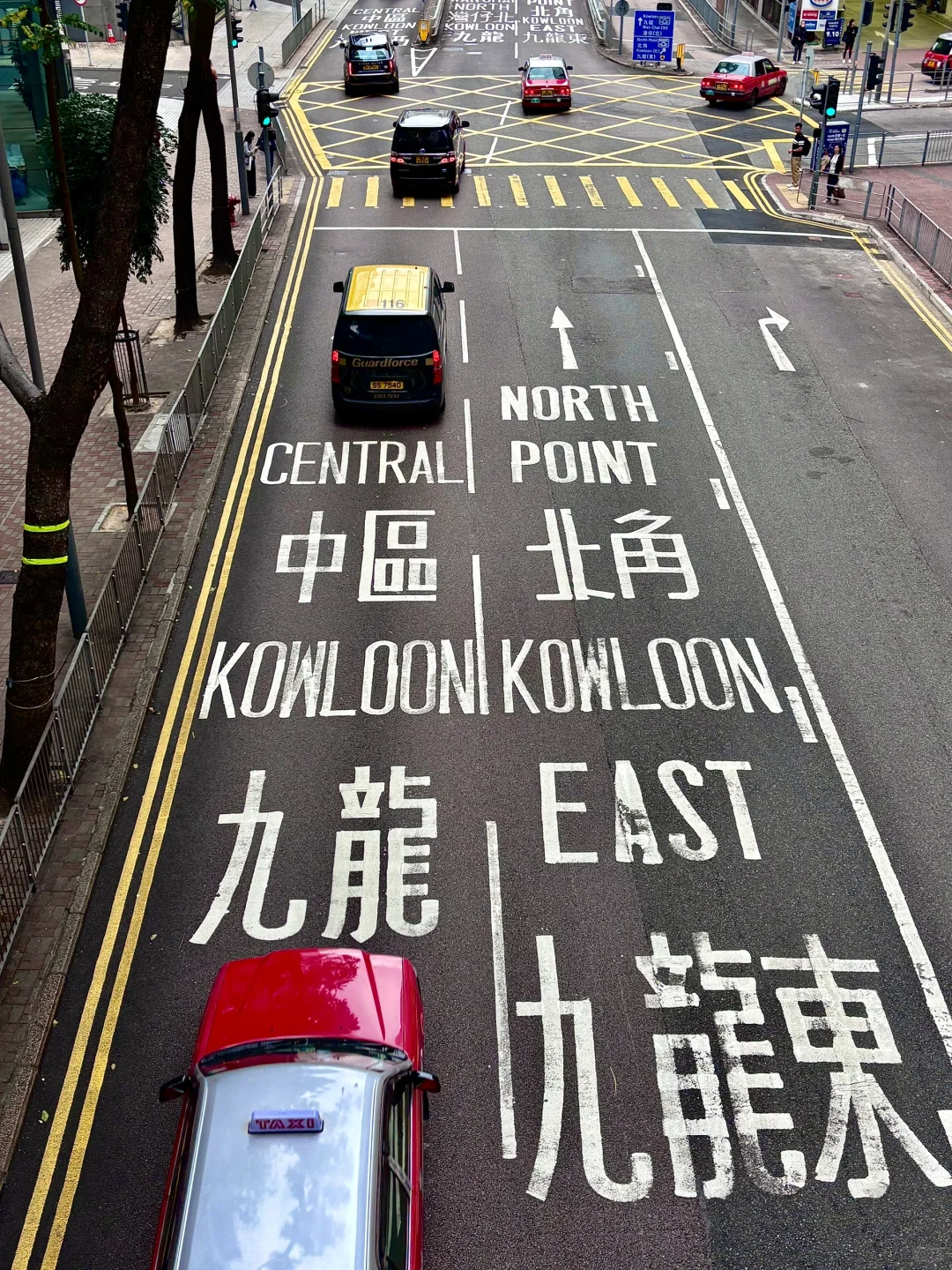 在香港跟风很成功的一次📸拍到了15张美照｜