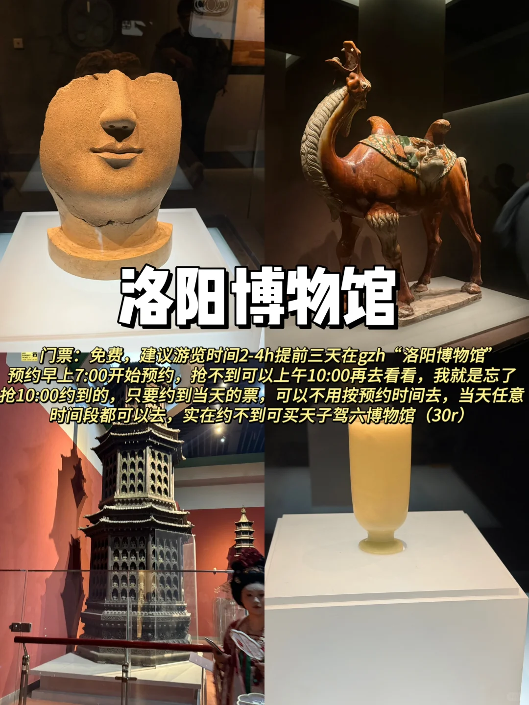 《洛阳两天一晚》打工人周末特种兵超详细攻！