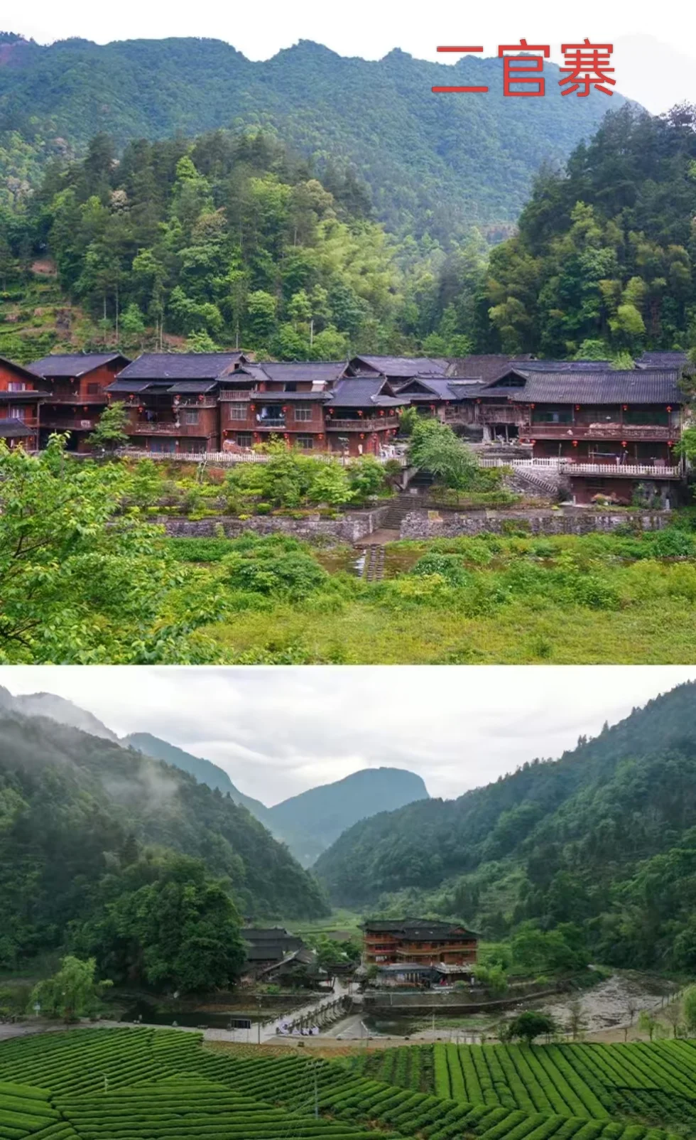 暑假不想人挤人，强烈推荐带娃去恩施………