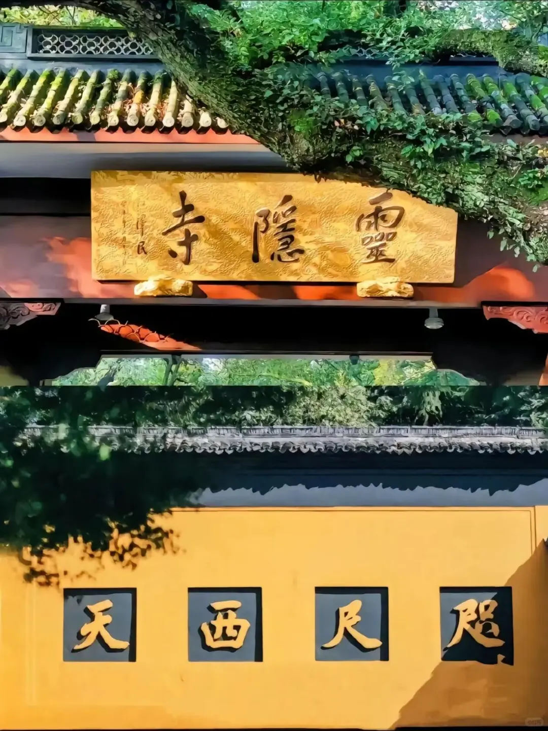 4-5月苏杭现状，简直封神，劝退不了一点...