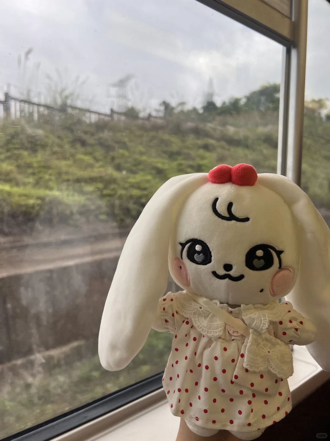 第一次带孩子旅游，有什么需要注意的吗？