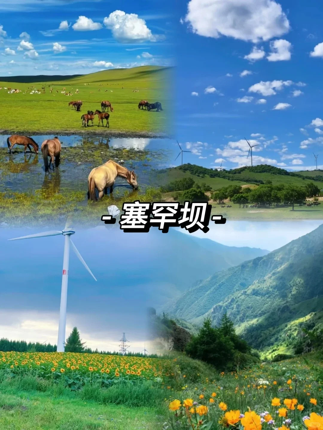 海边+林海+草原👉秦皇岛&承德旅游攻略