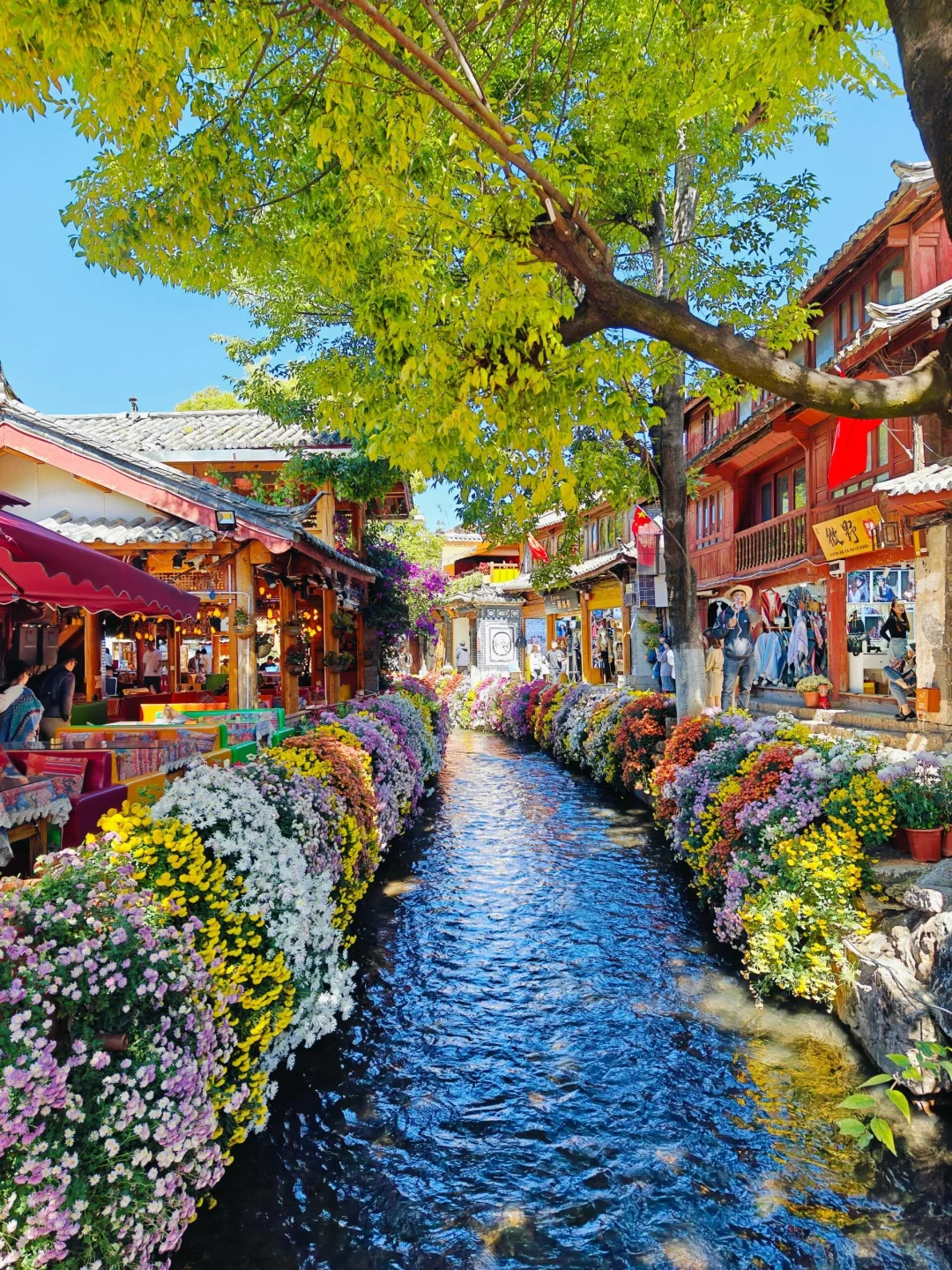 带父母👵游丽江📍三天两夜慢节奏攻略✨