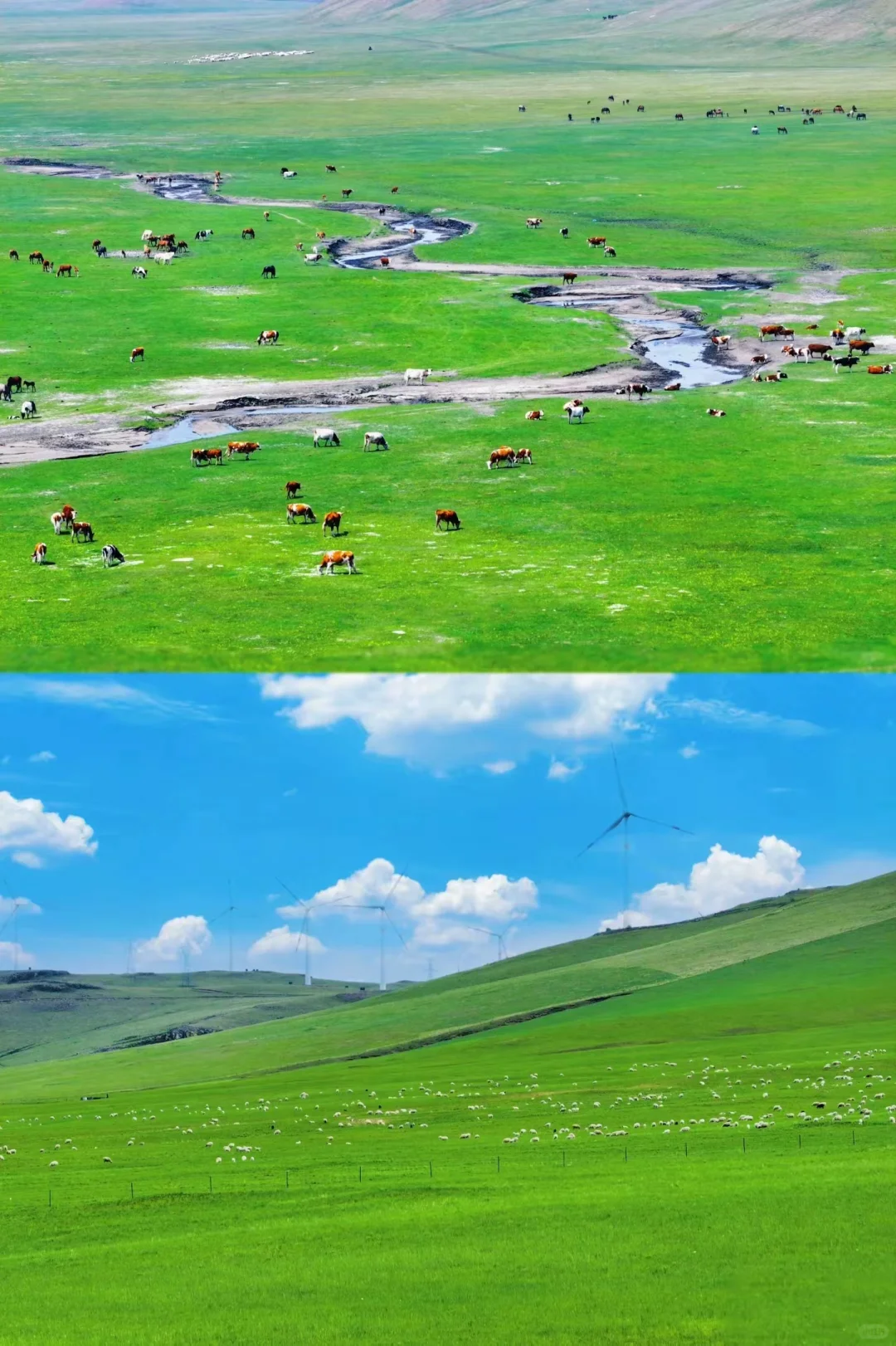 👫和TA的草原私奔之旅｜呼伦贝尔旅游攻略