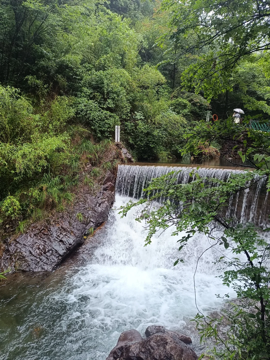 桐庐大奇山