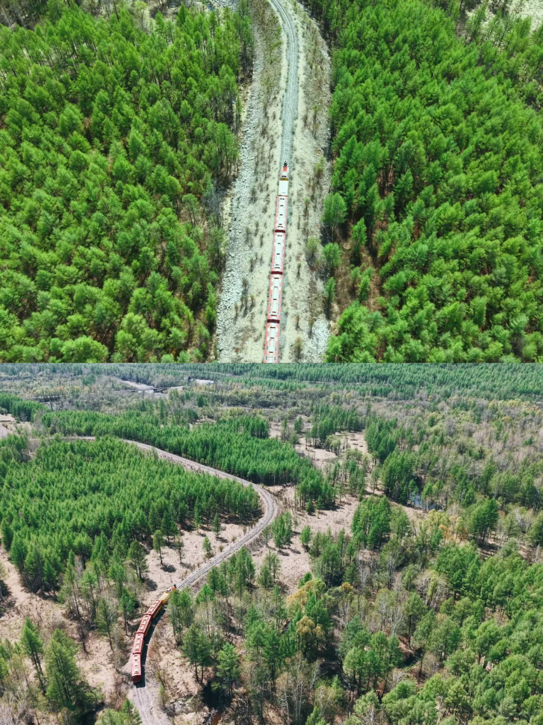 终于，我坐上了开往夏天的森林小火车（Live图