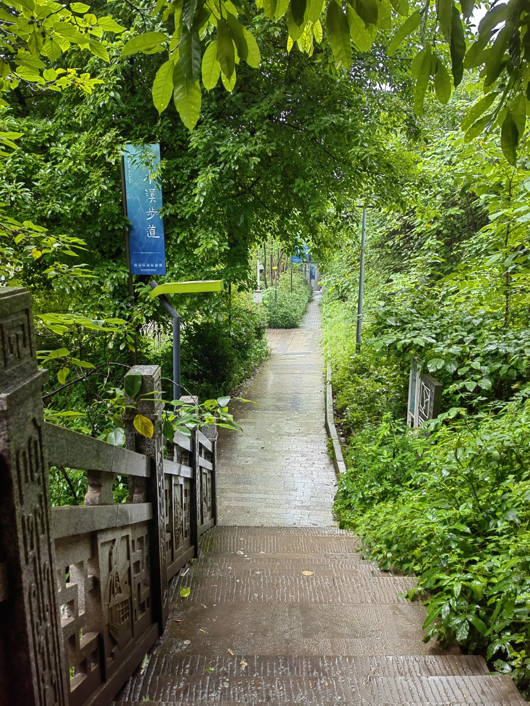 赴一场烟雨
