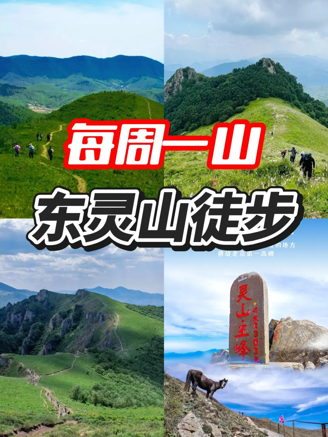 东灵山｜挑战北京最高峰-腾云驾雾赏旷世之