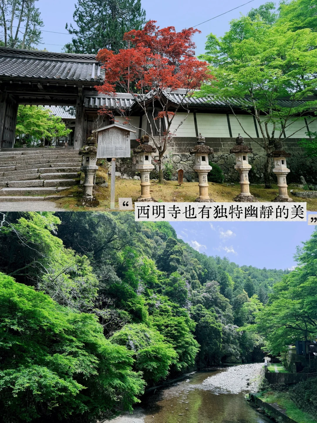 避开人潮！京都初夏绿径，高雄线徒步攻略
