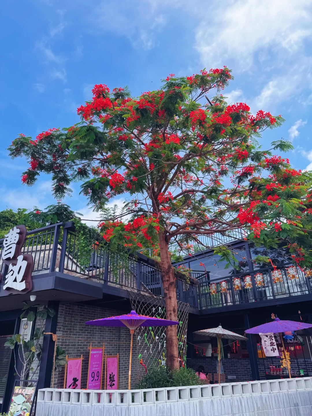 中山曹边村🏡